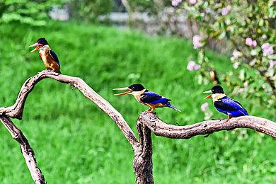 《死侍》《变形金刚》等动视游戏或即将重新上架Xbox